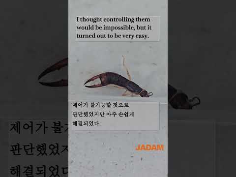 Have You Ever Been Bitten by an Earwig? 혹집게벌레에 물려 보신 경험이 있나요? #jadam #organicfarming