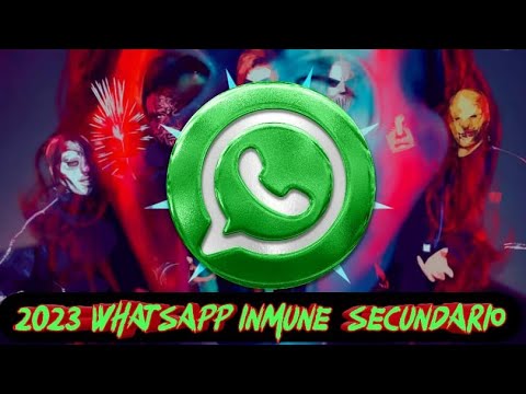 NUEVO WHATSAPP INMUNE ACTUALIZADO SECUNDARIO - #whatsappinmune #whatsapp #travazap #bot #viral_video