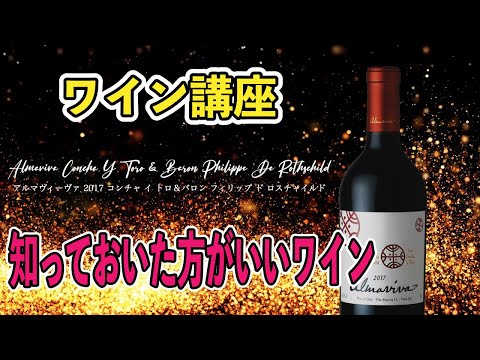 【ワイン講座】絶対に知っておいた方がいいワイン🍷アルマヴィーヴァ2017 赤🍷