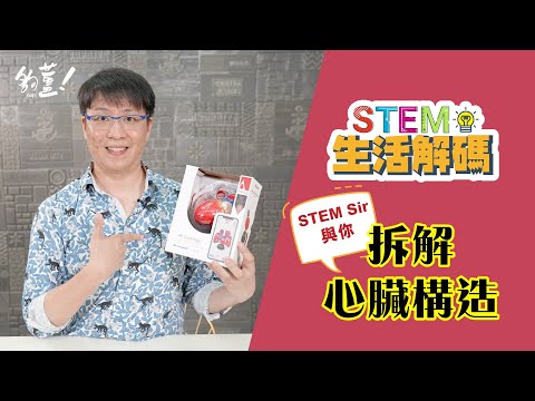 與你拆解 心臟構造 - 24/08/2021 - STEM Sir【STEM生活解碼】