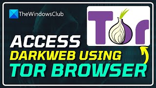 How to Access the DARK WEB Using TOR Browser? [TUTORIAL]