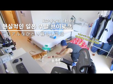 도쿄 직장인 I 현실적인 일본 주말 브이로그 I 일상브이로그 I 산책 I 일본직장인 I 일본회사원 I vlog I 브이로그 I 주말점심