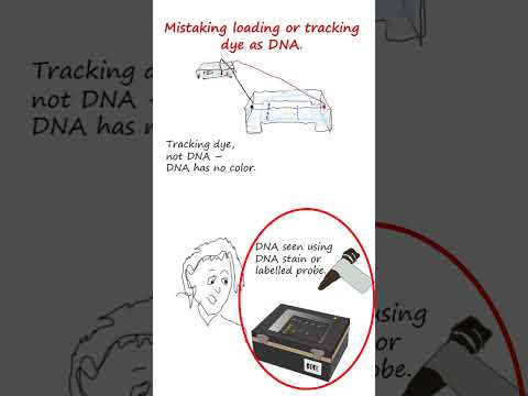 Mistakes to avoid in agarose gel electrophoresis procedure. #genetics #biotechnology #biology