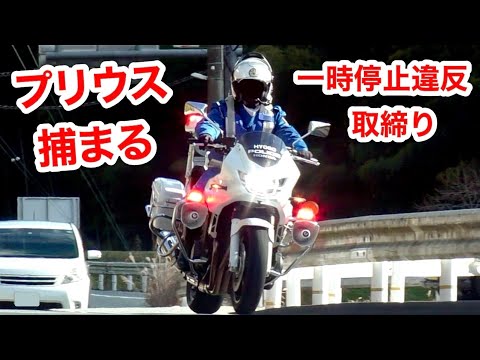 【白バイ】一時停止をノーブレーキで通過したプリウスを検挙‼️ [新型サイレン 取り締まり]