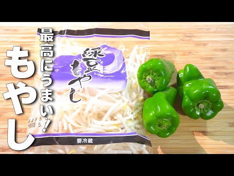 【簡単もやしレシピ】安い、うまい！おかわり必須の節約レシピ🎵【ピーマン】