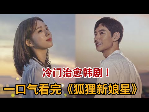 一口气看完冷门治愈韩剧！陌生男女在机场相遇，互相治愈开启新的人生《狐狸新娘星》大合集