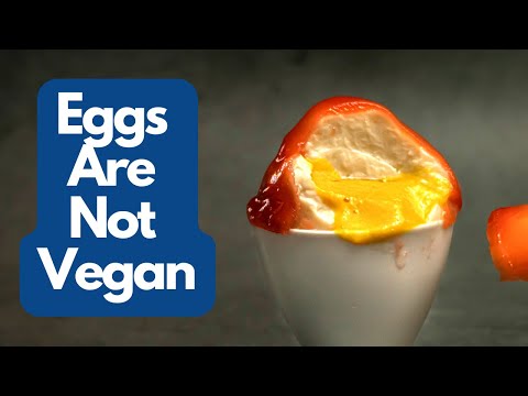 Crafting the vegan 'Royal Egg': A Cinematic Delight Brought to Life