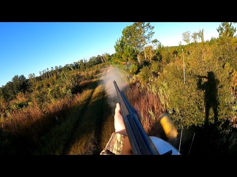 SC Deer Dog Drives 10/21/2023: Great races and shots on camera.  Plenty of action.