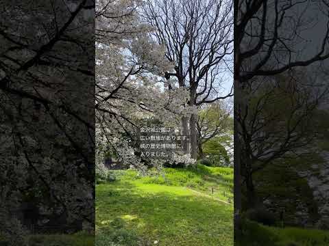 46）金沢城公園の資料館