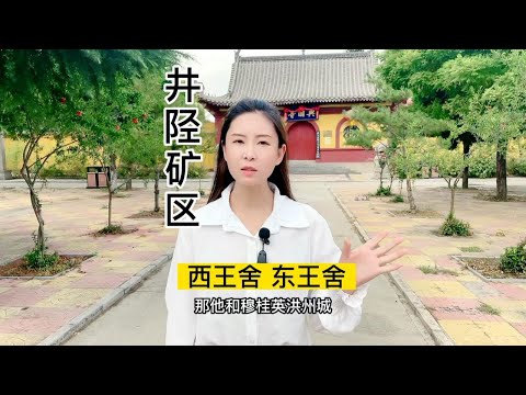 相传宋太宗赵光义带着皇侄赵德芳御驾亲征时在西王舍兴国寺修养过