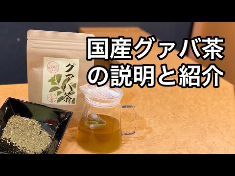 美味しい健康茶の淹れ方 グァバ茶編