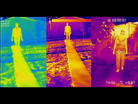 HIKMICRO Pocket2 vs Topdon TC001 vs Xinfrared T2S+ - Short footage