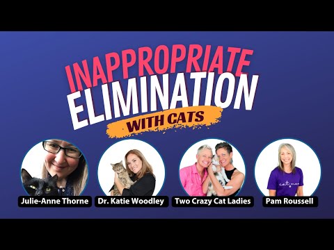 Inappropriate Elimination in Cats | Expert Round Table | Two Crazy Cat Ladies