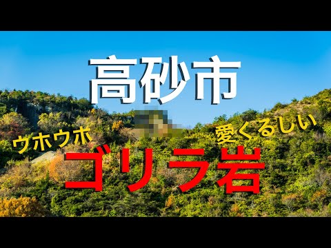 【高砂市】知る人ぞ知る穴場・ゴリラ岩を２年間追い続けた男の末路