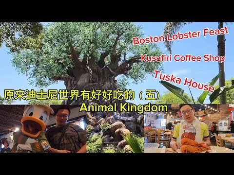 原來動物王國有好好吃的 (Animal Kingdom @ Orlando FL)原來美國有好好吃的 Jimmy & Good Eats in U.S.A. Ep.23