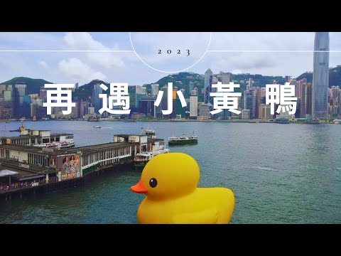 巨型黃色「橡皮鴨」（Rubber Duck）時隔十年，再次來港暢泳。今天坐車遠眺，青衣北部担杆山路船廠，兩隻已吹氣、高18米的黃鴨醒目現身。#小黃鴨 #rubberducks #rubberduck