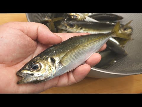 小アジの簡単なさばき方と唐揚げの作り方（エラと内臓を簡単に取る方法）　deep-fried horse mackerel