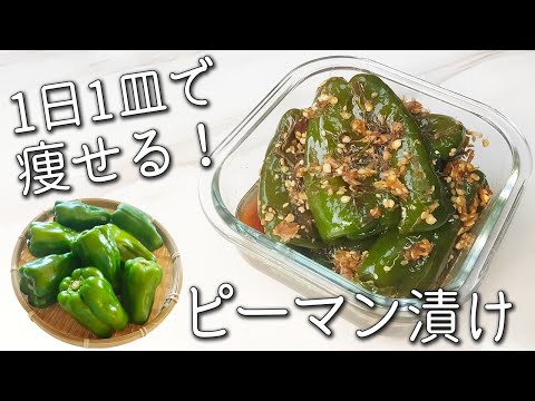 【ピーマン レシピ】コレ絶対やって！ 簡単３分！ 痩せる ピーマン の 一番 おいしい 食べ方 丸ごと 焼きびたし 無限 ピーマン ナムル 作り置き 副菜 レシピ