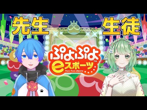 【ぷよぷよeスポーツ】ぷよぷよ初心者対戦会講座2人目 w/イオ【Vtuber】