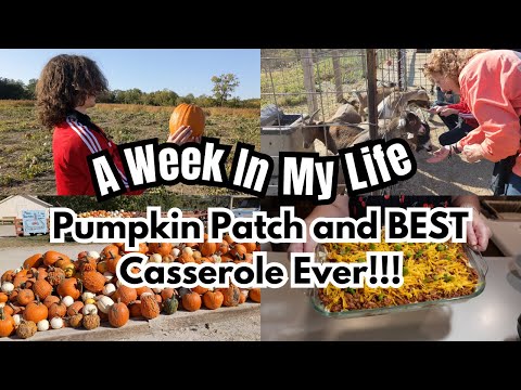 The BEST Casserole EVER! / Visit to the Pumpkin Patch / NEW December Planner Stickers