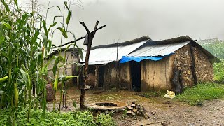 Nepali Mountain Village Life | Rainy Day in Jiree Village | Organic Village Food | Real Nepali Life