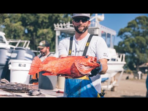 Bringing local fish back to Shelter Cove | Fisherman Jake Mitchell