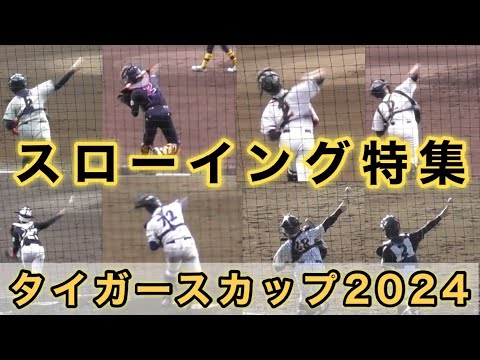 『タイガースカップ2024 スローイング特集』未来の高校球児