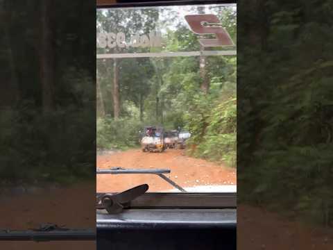 #offroading #900kandi #glassbridge #kerala #shorts #youtube #iphone14plus #thar #jeep #karnataka #me