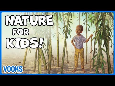 Nature Stories for Kids! | Read Aloud Kids Books | Vooks Narrated Storybooks