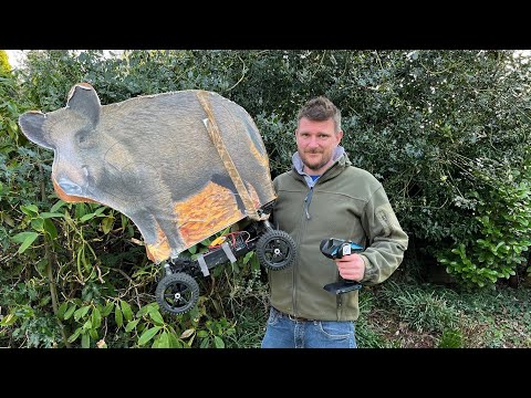 Radio control HoBao Wild Boar in training 😂 "The Boargy"