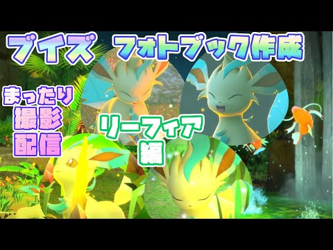 【Newポケモンスナップ】ブイズのフォトブックを作りたい…！まったり撮影配信 [リーフィア編]