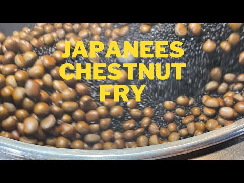 Street food chestnuts fry with hot stones जापान चेस्ट नट स्ट्रीट्स फ़ूड