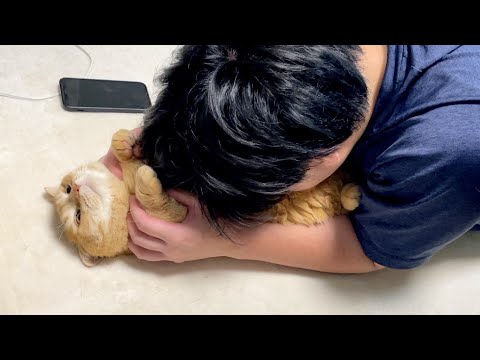 洗いたてふわふわの猫を猫吸いしたら最高でした！