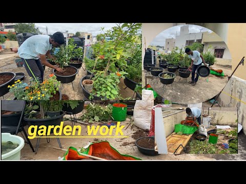 Garden transformation part 1