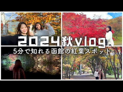 【函館】2024秋vlog｜紅葉スポットを5分で紹介！