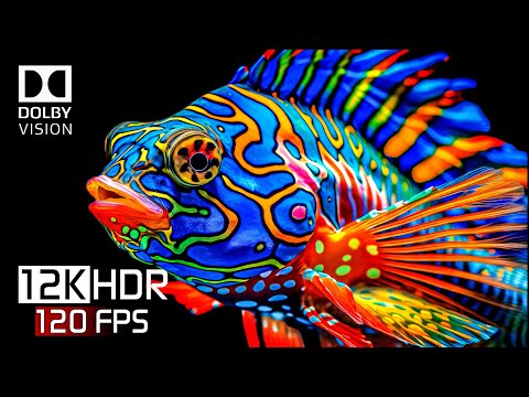 OLED TEST DEMO | BEST OF Color Art 12K HDR 120FPS | DOLBY VISION