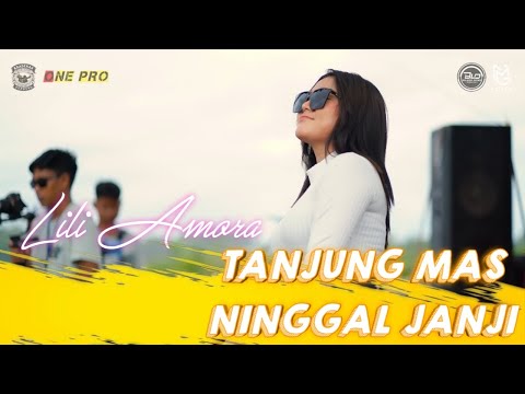 LILI AMORA ~ TANJUNGMAS NINGGAL JANJI || KRADENAN REBOUND x ONE PRO || BALADA DEWA AUDIO || ELITGM