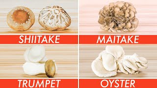 Trying Every Type Of Mushroom | The Big Guide | Epicurious