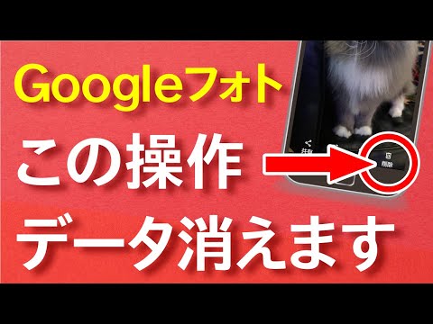 【危険な操作】Googleフォト「削除」でスマホの写真が消える!?端末の写真を残してバックアップを削除する方法