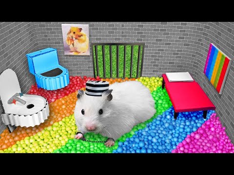 🌈 DIY Colorful Prison | Hamster Maze