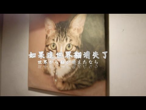 用「如果這世界貓消失了」的主題曲幫貓咖啡廳的貓咪做了MV，真的就只是這樣而已。【 HARUHI - ひずみ (應變)中日字幕】│世界から猫が消えたならの主題歌使ってpv作ってみた！本当にこれだけです。