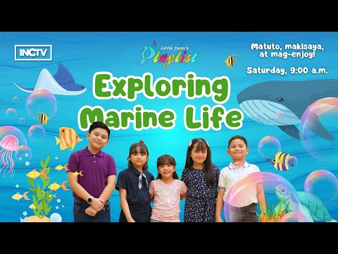 EXPLORING MARINE LIFE | LITTLE JUAN'S PLAYLIST