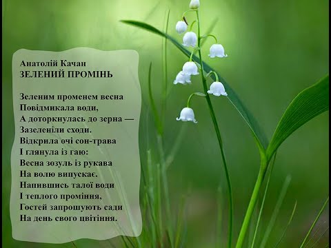 Анатолій Качан Зелений промінь Вчимо вірш он-лайн з дітьми 5-6-ти років