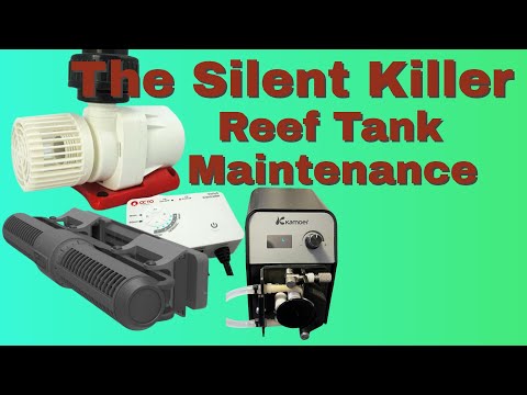 How To Avoid Reef Tank Disasters (Aquarium Maintenance) Why You Should Keep Your Equipment Clean