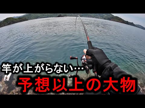 エギングタックルに突如現れた大型魚が掛かり、圧倒的パワーでぶち曲げられる…