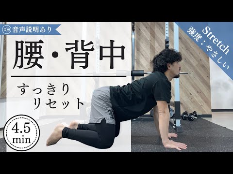 【ズボラでも出来る】苦痛なくデキる腰のストレッチ！初心者に優しく腰痛解消にもオススめ！