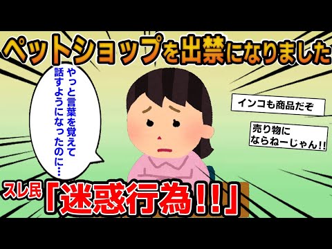 【報告者キチ】「ペットショップを出禁になりました！毎日インコに会いに行くのが楽しみだったのに…」→買う予定もないのに言葉を覚えさせた基地が登場！