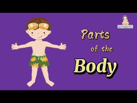 Parts of The Body | English | Preschool