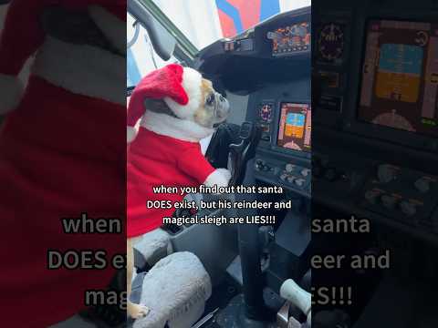 I had no idea Santa Claus was a pilot 😱 #deltaairlines #frenchbulldog