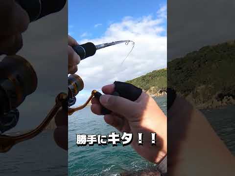 少し荒れ気味の海でエギングしてみる！#shots